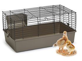 Kuiken benodigdheden