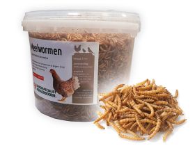 Meelwormen 5L