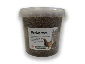 Meelwormen 2.5L
