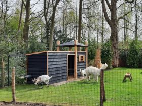 Dierenweide Wassenaar