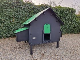 Kippenhok Brussels