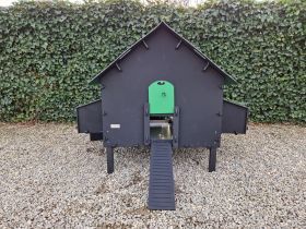 Kippenhok Brussels