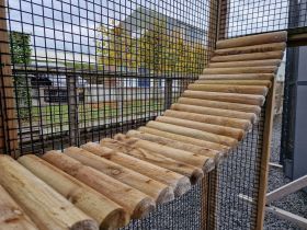 Houten loopbrug 250cm