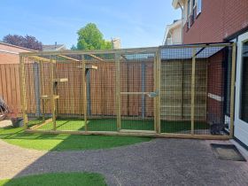 Kattenren Deventer