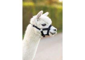 Alpaca Halster zwart