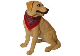 Boon Dog fashion halsband met zakdoek, rood