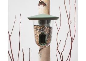 Feeder singing friend
