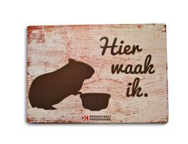 Waakbordje cavia