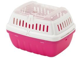 Hipster Klein Reismand Knaagdieren Roze