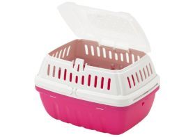 Hipster Klein Reismand Knaagdieren Roze