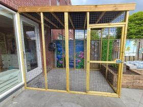 Kattenren Rotterdam