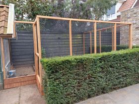 Kippenren van hardhout