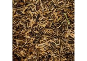 Kippensnack Insectenmix 5L