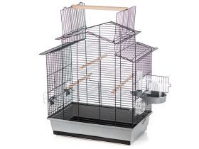 Vogelkooi Iza