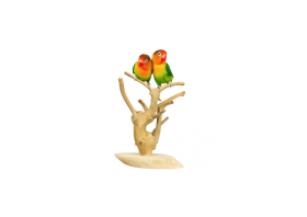 JAVA PLAYSTAND MINI