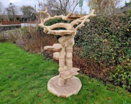 Javaboom met plateau (diverse maten)