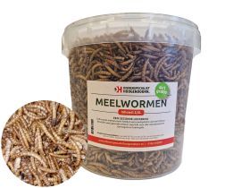 Gedroogde Meelwormen 2.5L