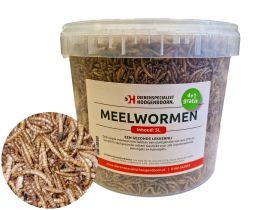 Meelwormen 5L