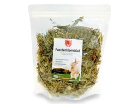 Paardenbloemblad 