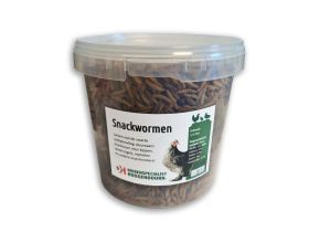 Snackwormen 2.5L