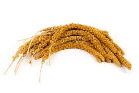 Trosgierst 1kg