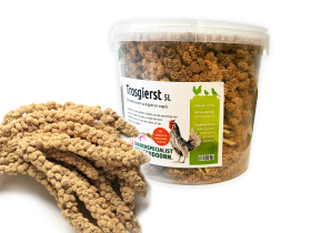 Trosgierst 1kg