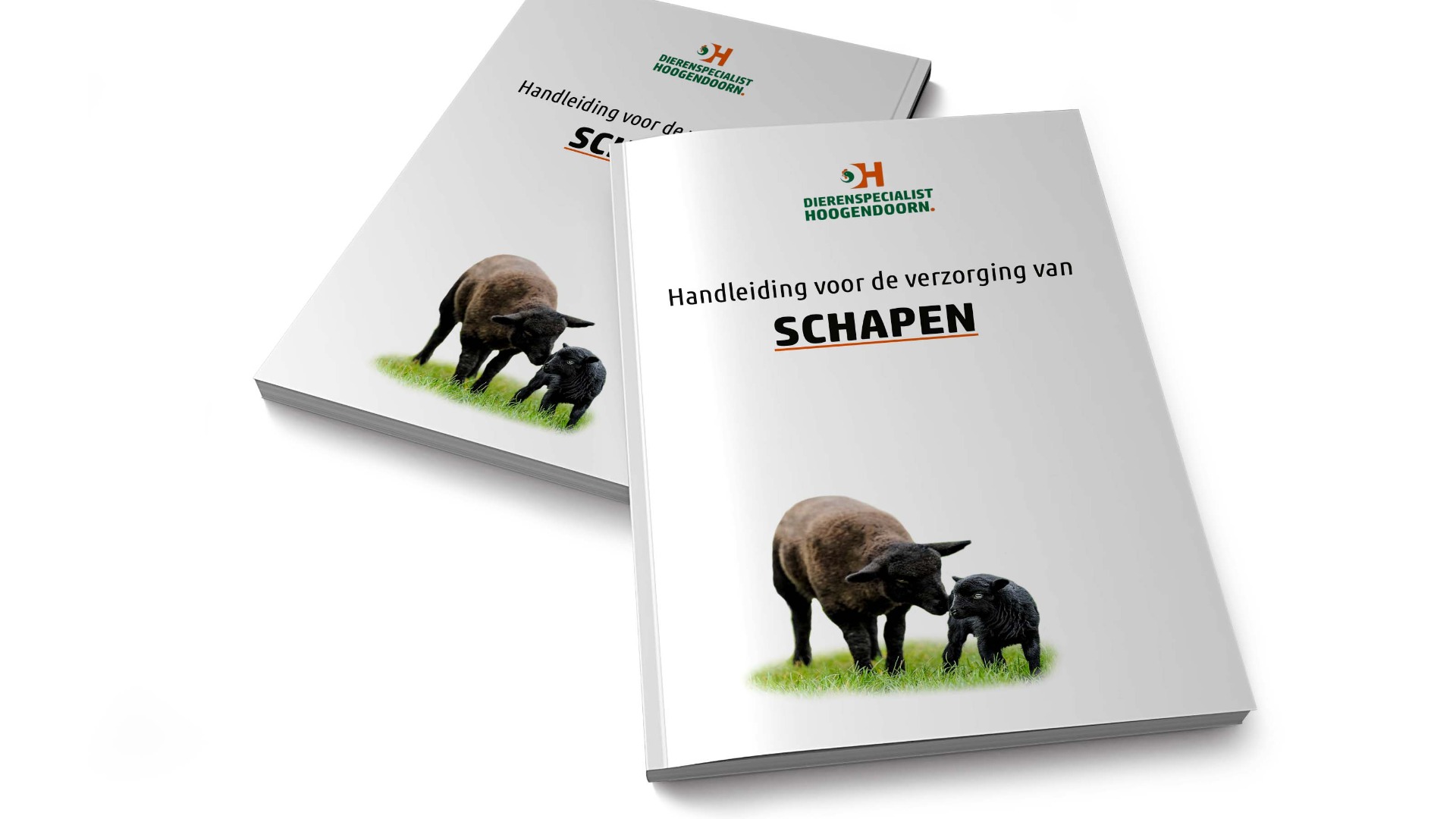 Handleiding schaap