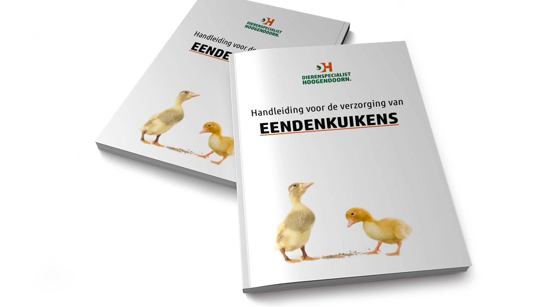 Handleiding eendenkuikens