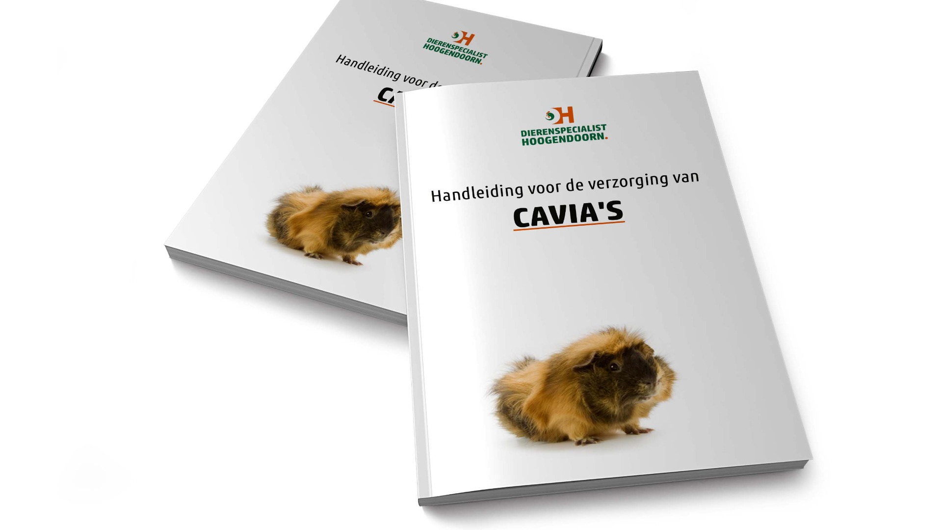 Handleiding cavia