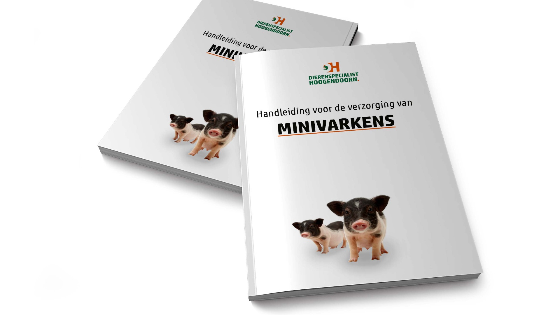 Handleiding minivarken