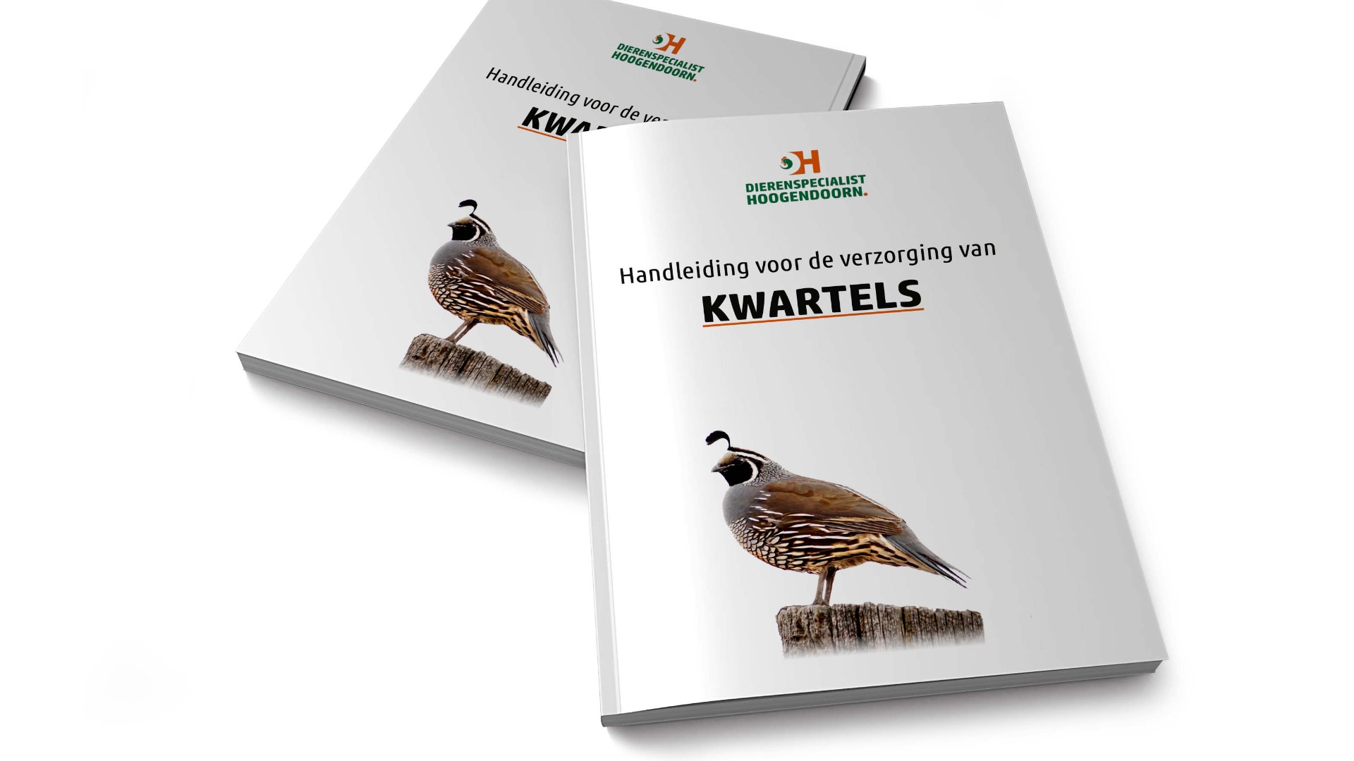 Handleiding kwartel