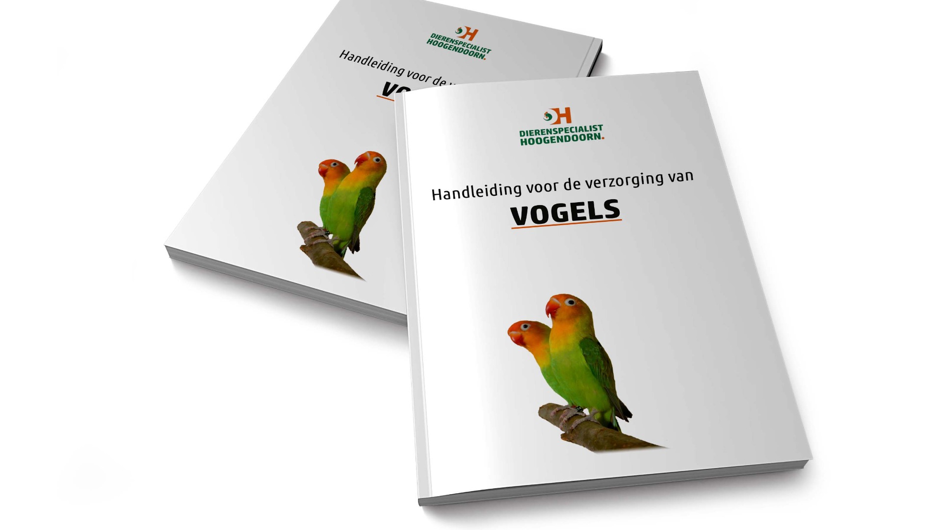 Handleiding vogel