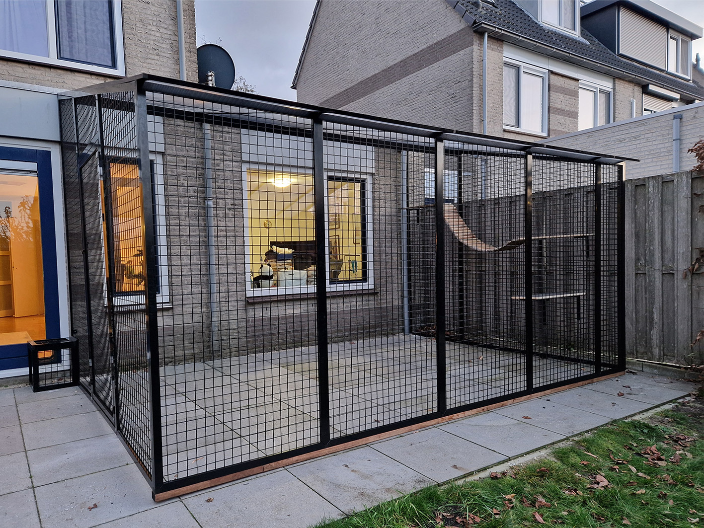 Kattenren van de Dierenspecialist Hoogendoorn Kattenren kopen